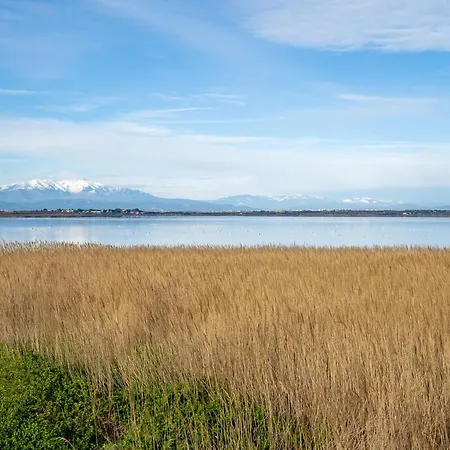 Les Rives Du Soleil By Interhome Apartment